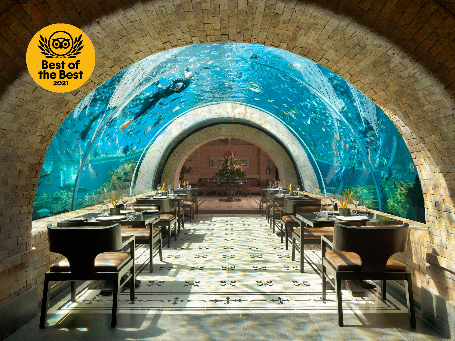 Koral Restaurant: The World’s #1 Picture-Perfect Restaurant
