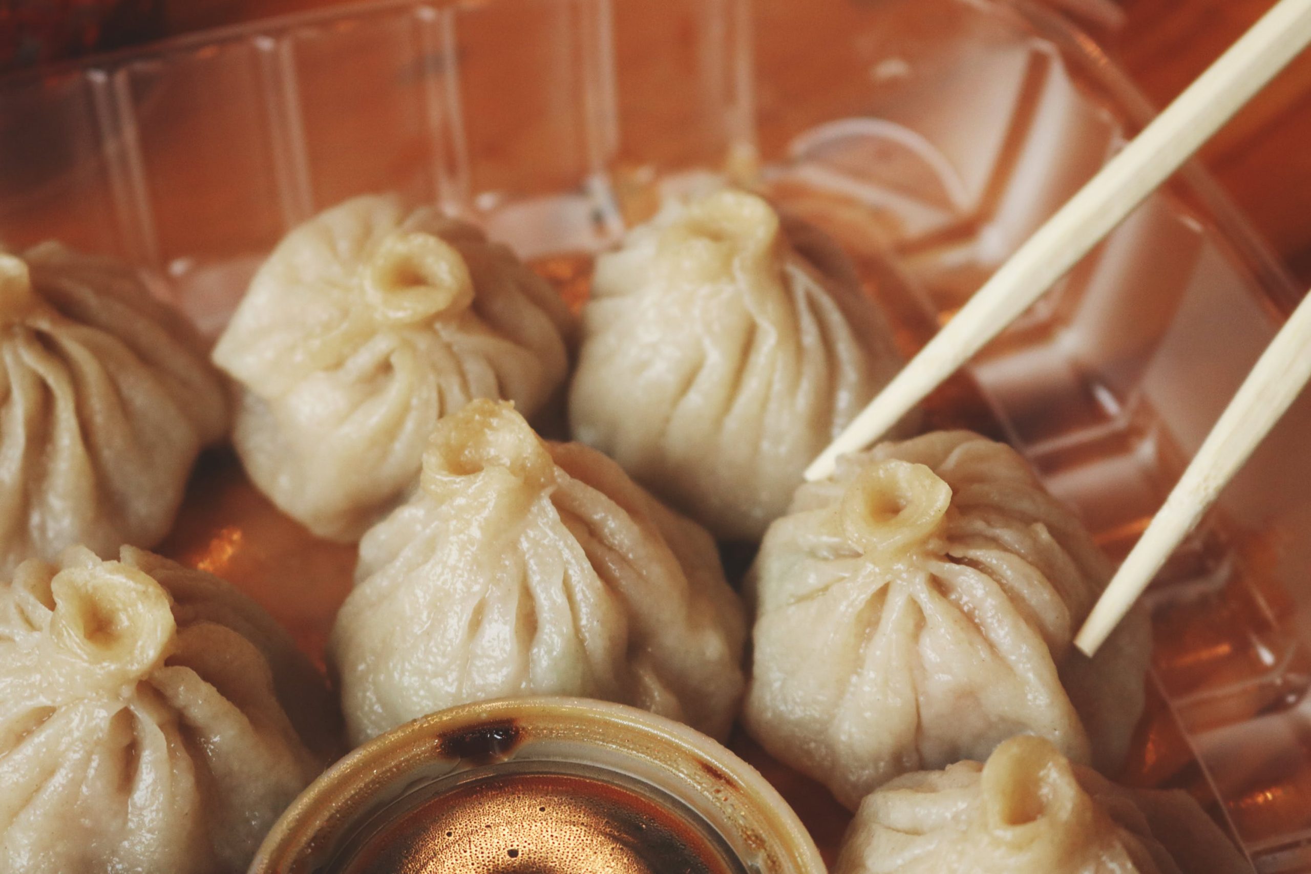 Match Made in Dumpling: Dumplings Around Asia